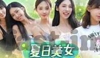 百家乐算牌秘籍-百家乐算牌秘籍，掌握策略，提升胜算