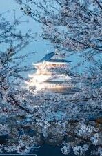 开云app官网入口登录-解锁数字时代便利，开启云端之旅